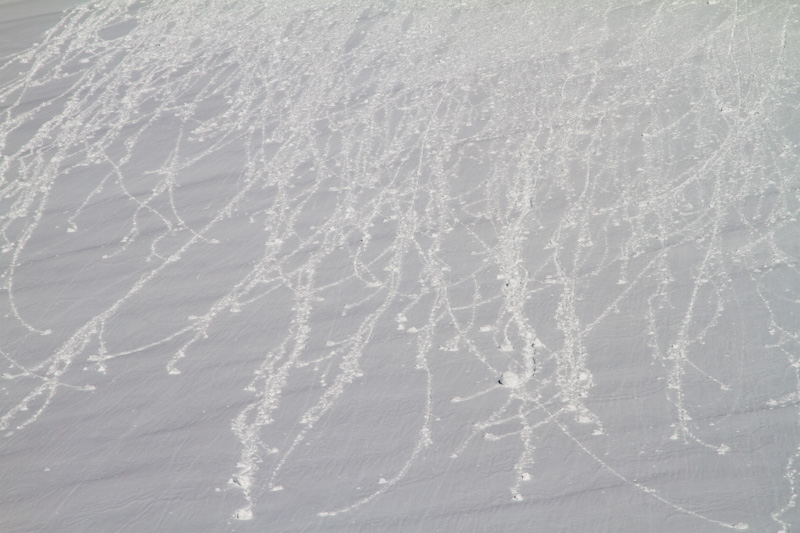 Surface Slough Patterns