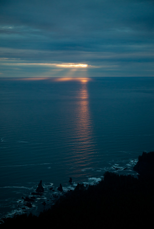 The Olympic Coast At Sunset