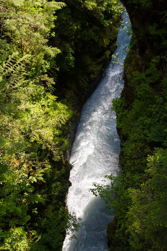 Hoh River Gorge