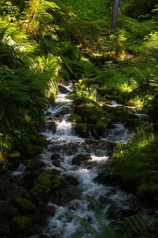 Small Cascade