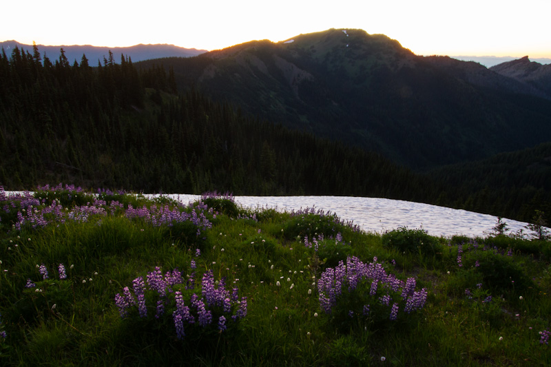 Olympic Mountains At Sunset