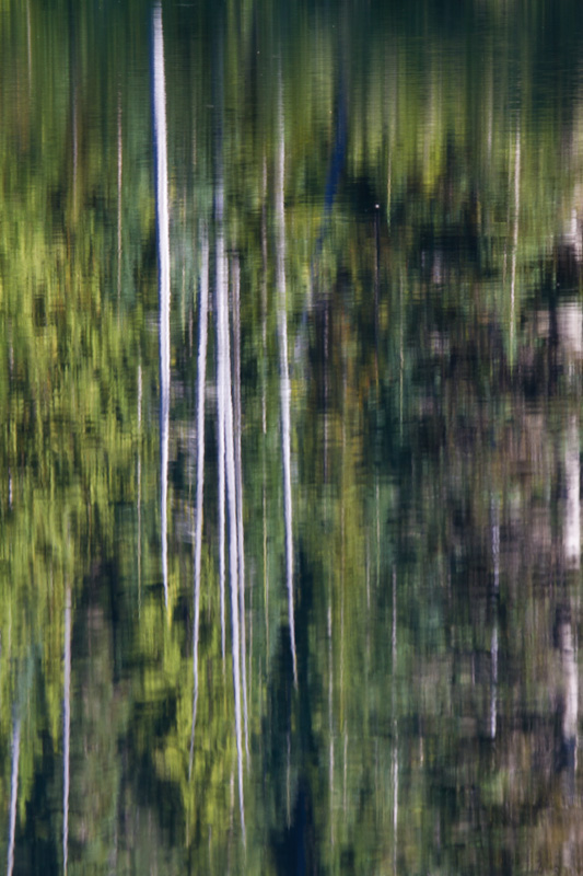 Reflection Of Trees In Bench Lake