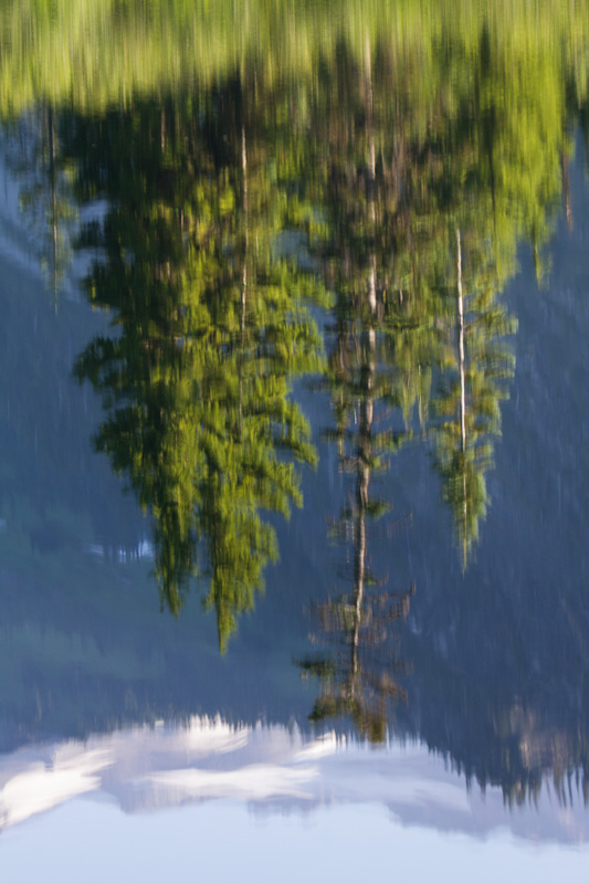 Reflection Of Trees In Bench Lake