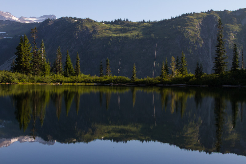 Tree Line Reflected In Bench Lake