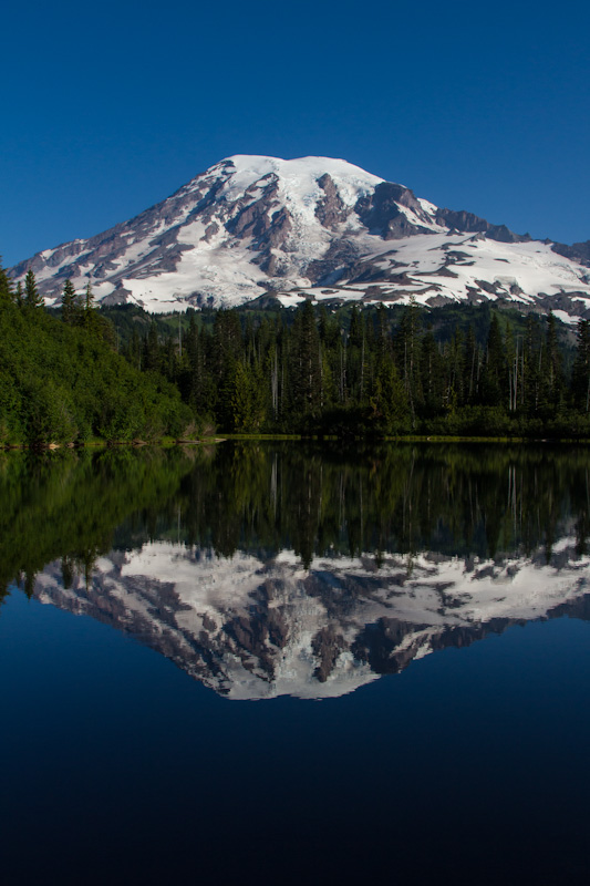 Mount Rainier Reflected In Bench Lake