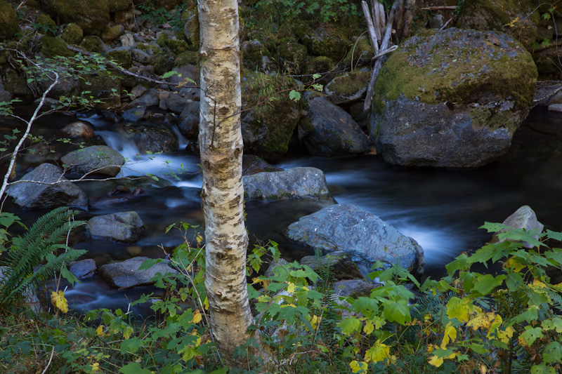 Skate Creek