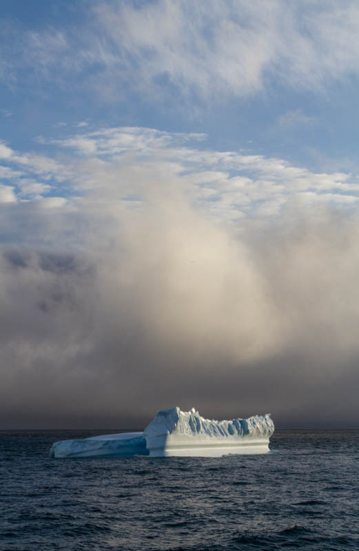 Iceberg