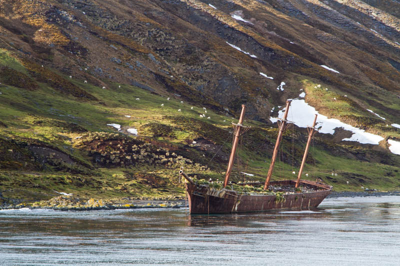 Shipwreck