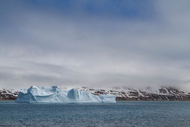 Iceberg