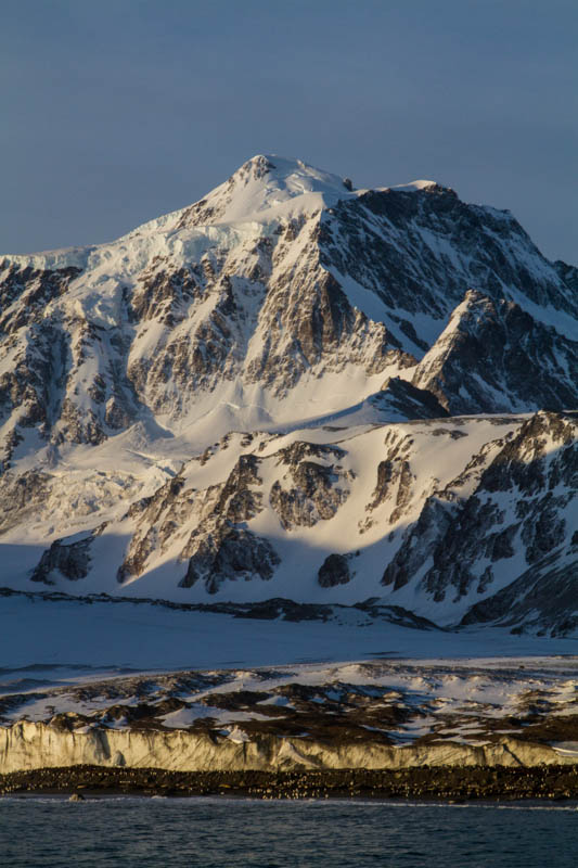 King Penguin Colony Below Peak And Glacier