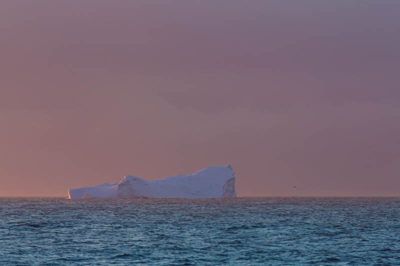 Iceberg At Sunrise