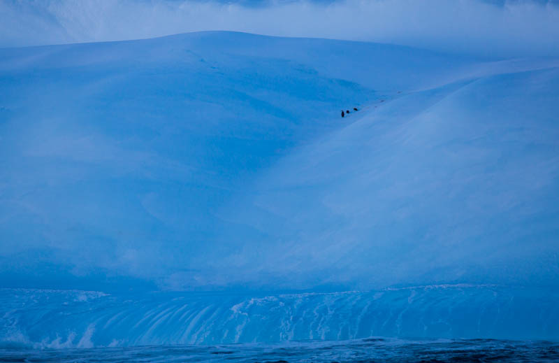 Chinstrap Penguins On Iceberg