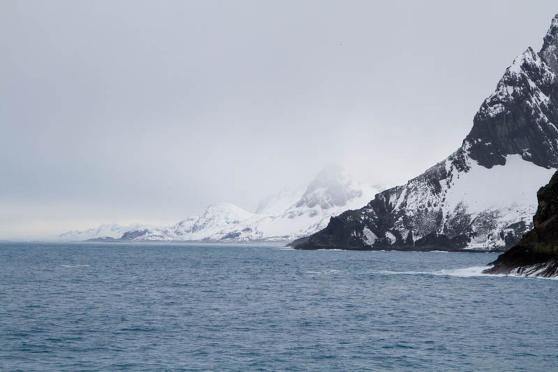 Coast Of South Georgia Island