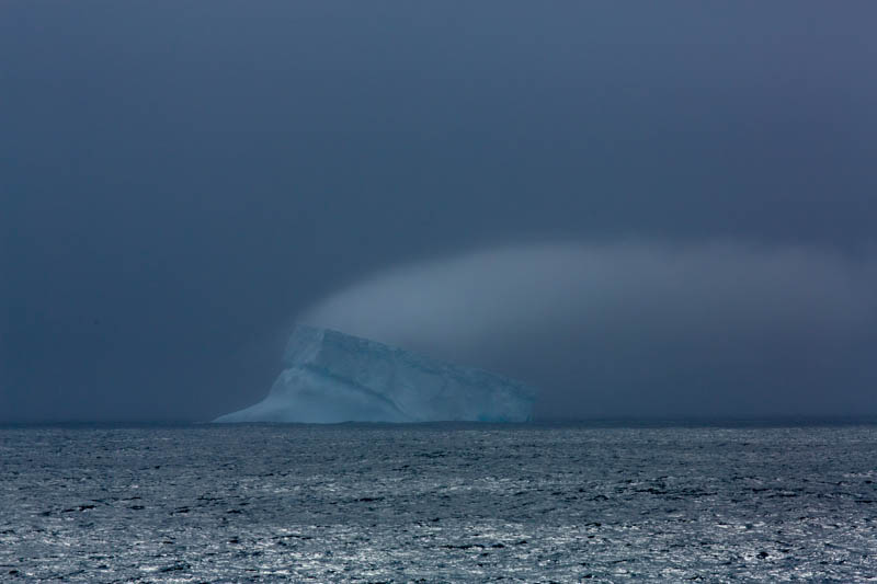 Iceberg