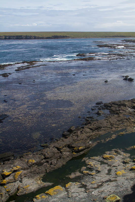 Tidepools Along Shore