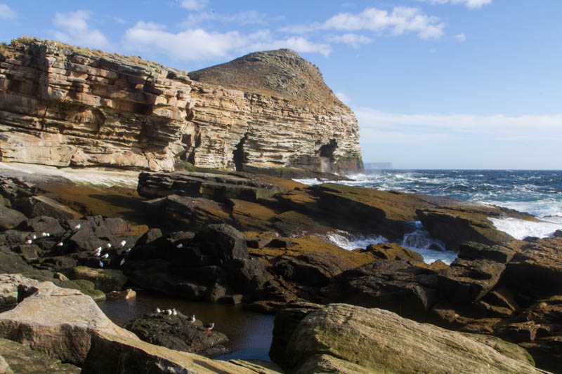 Rocky Shoreline