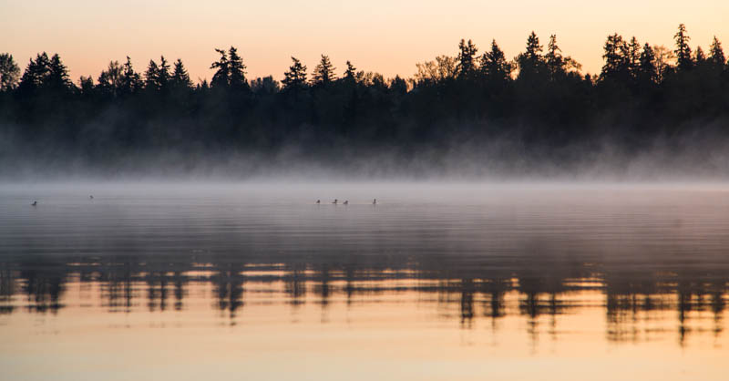 Marymoor Sunrise