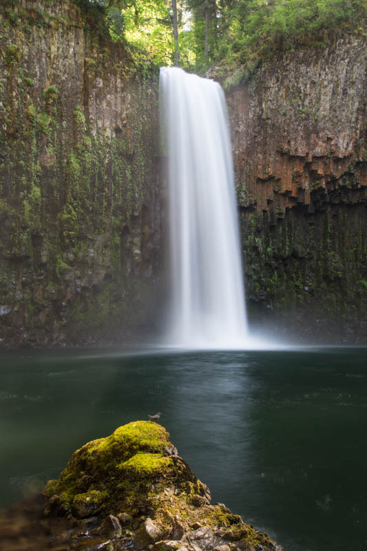 Abiqua Falls