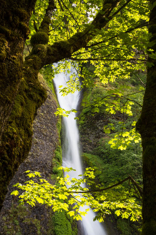 Horsetail Falls