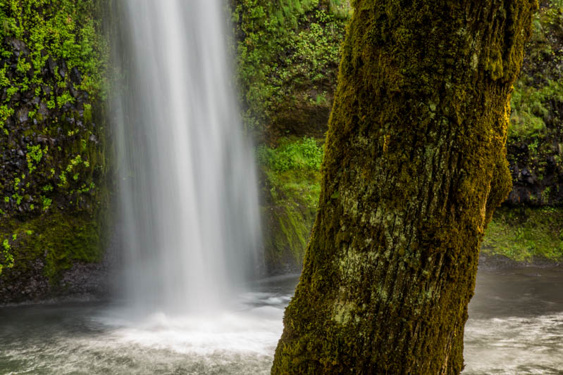 Horsetail Falls