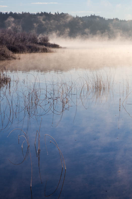 Fog On Lake Sammamish