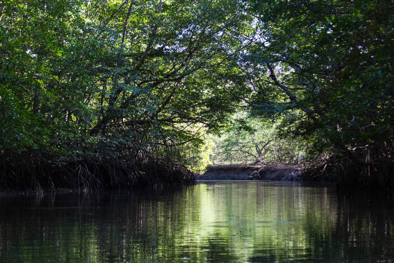 Rio Tamarindo Estuary