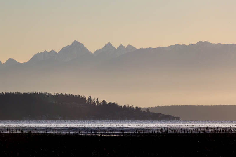 Wetlands and Olympic Mountains At Sunset