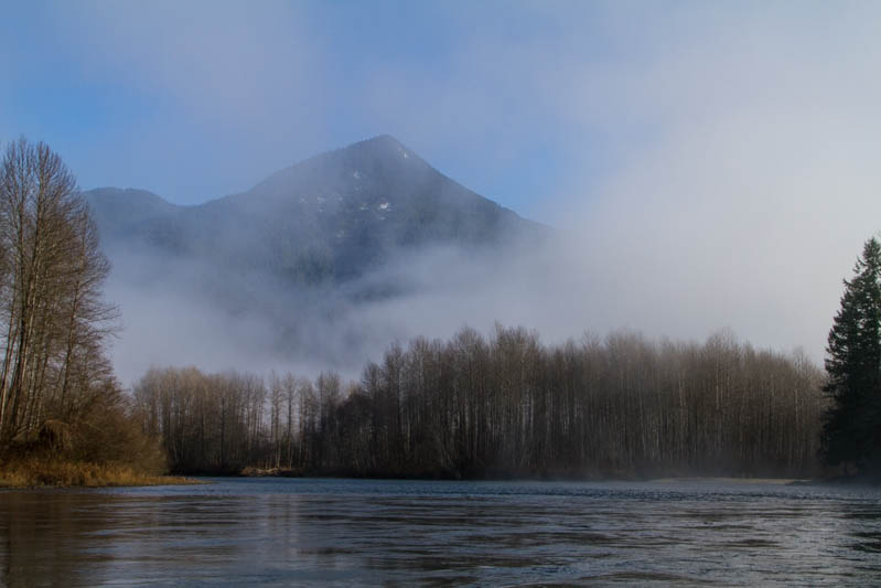 Shores Of The Skagit River In Fog