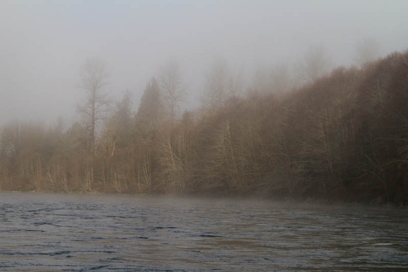 Shores Of The Skagit River In Fog