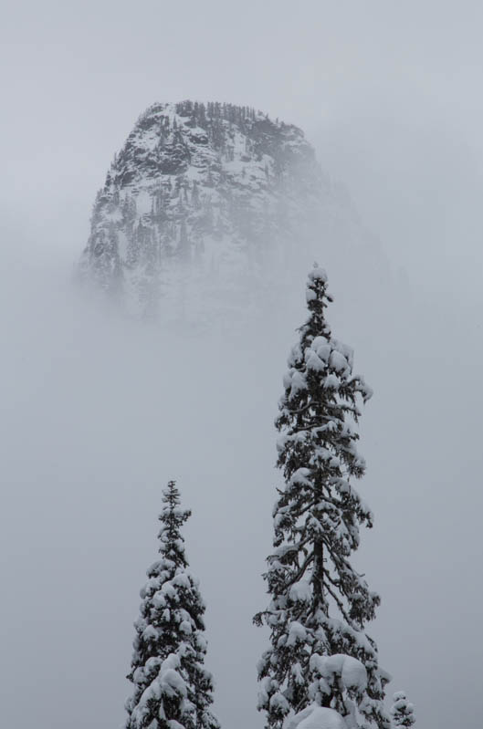 Guye Peak In Mist