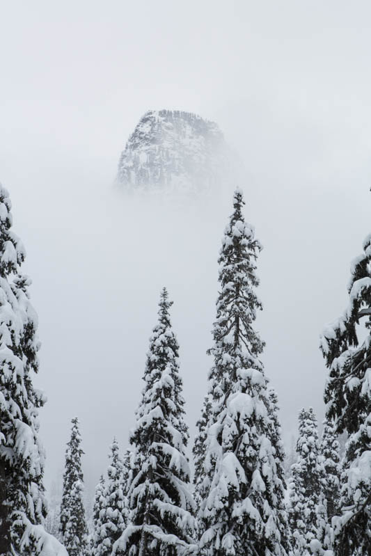 Guye Peak In Mist