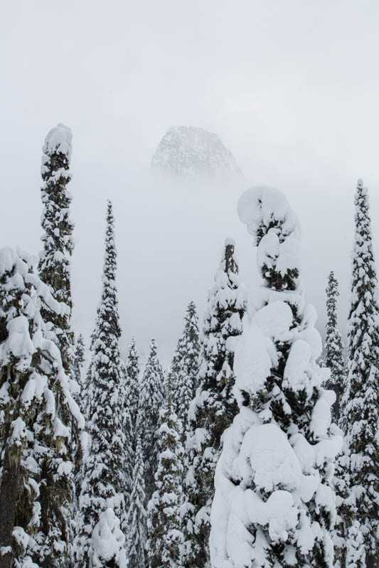 Guye Peak In Mist