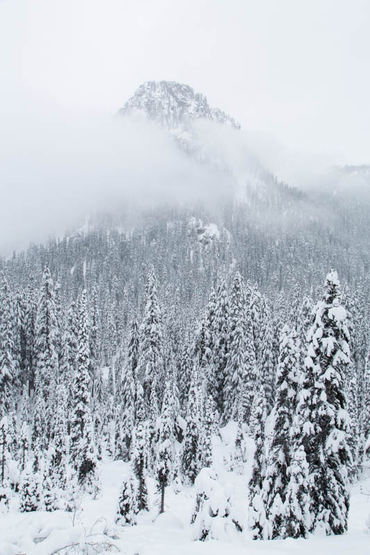 Guye Peak In Mist