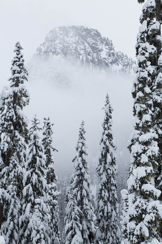 Guye Peak In Mist