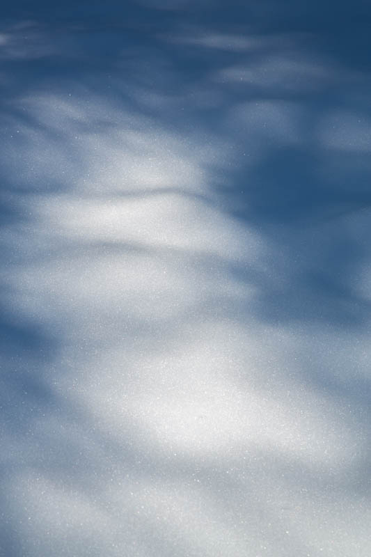 Light And Shadow On Snow