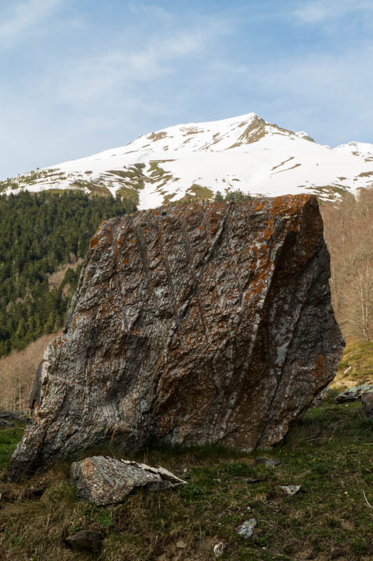 Glacier Erratic And Snow Covered Peak