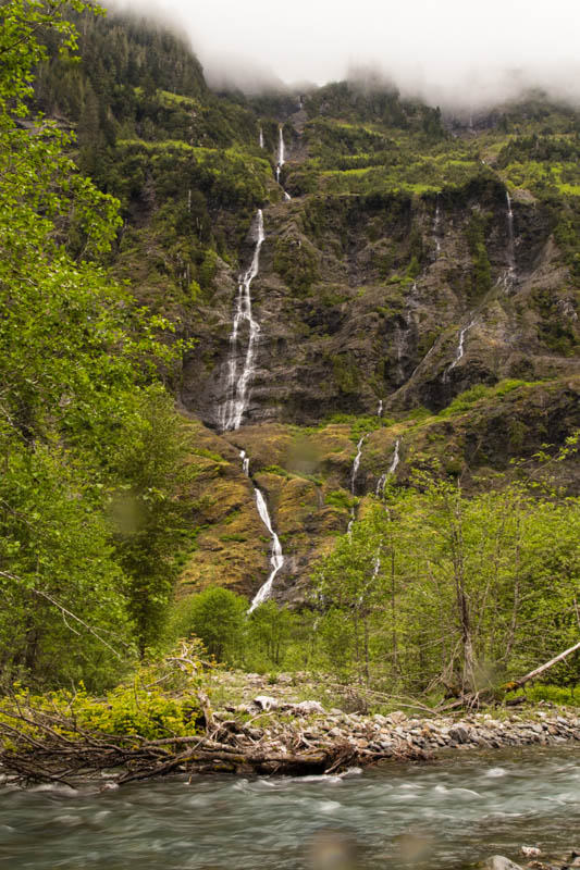 Waterfall And The Quinalt River
