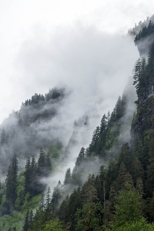 Ridgelines In Mist