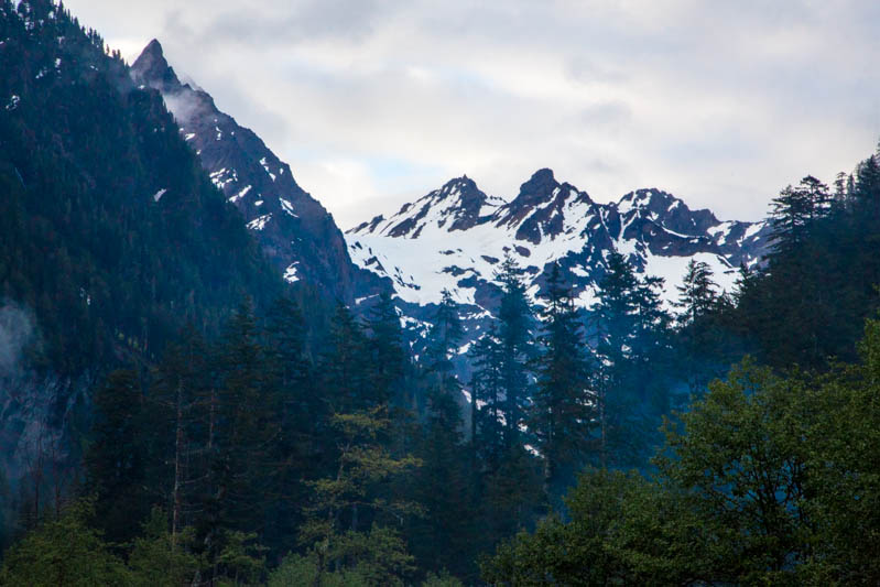 Mount Anderson Above Trees