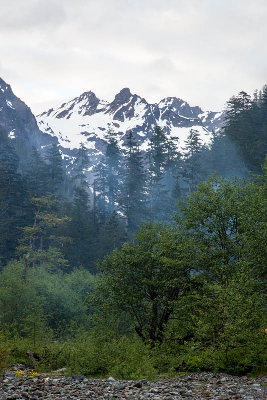 Mount Anderson Above Trees