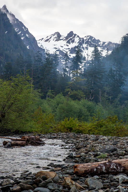 Mount Anderson And The Quinalt River