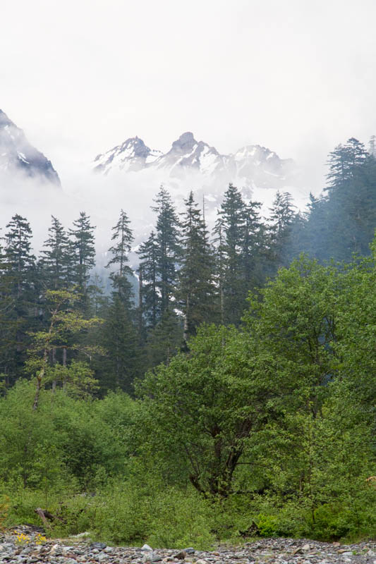 Mount Anderson Above Trees