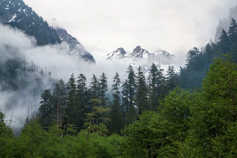 Mount Anderson Above Trees