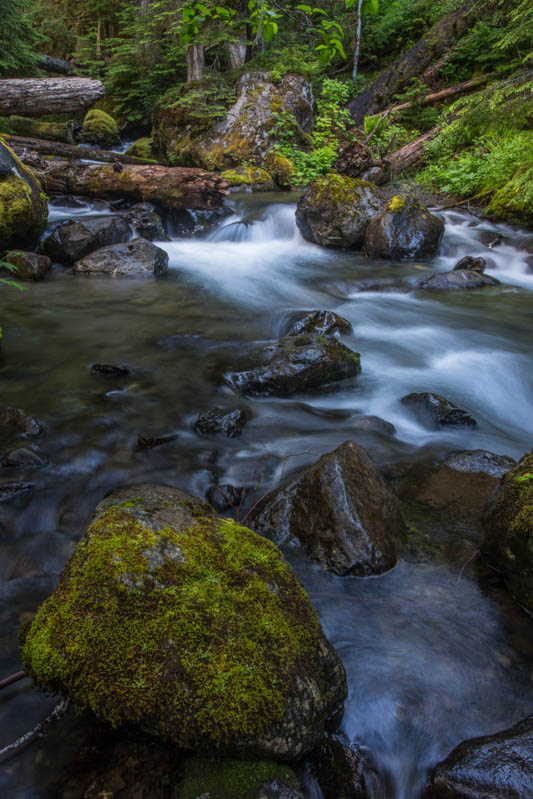 Rocks In Stream