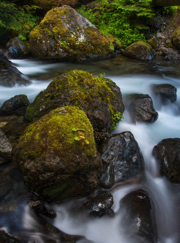 Rocks In Stream