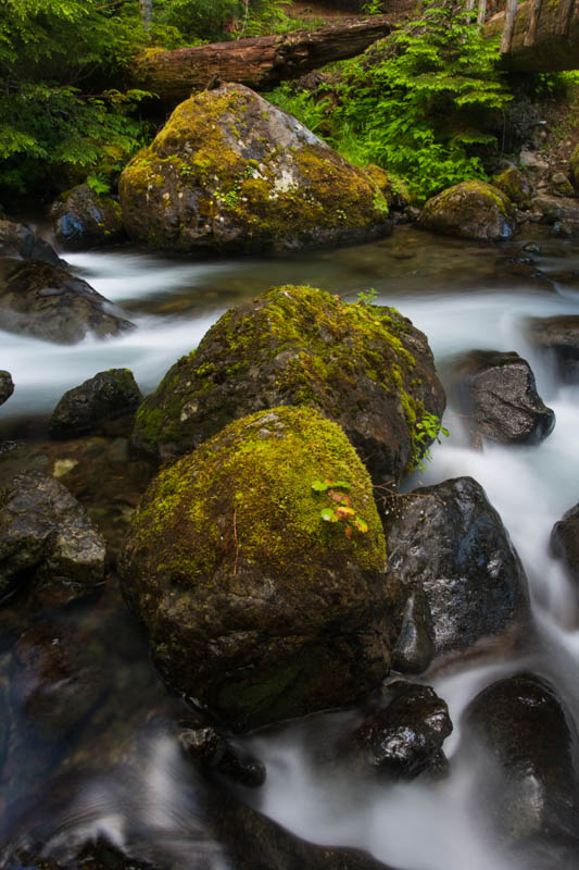 Rocks In Stream