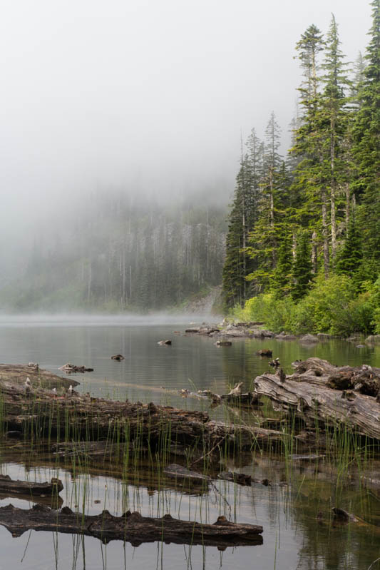 Pratt Lake In Fog