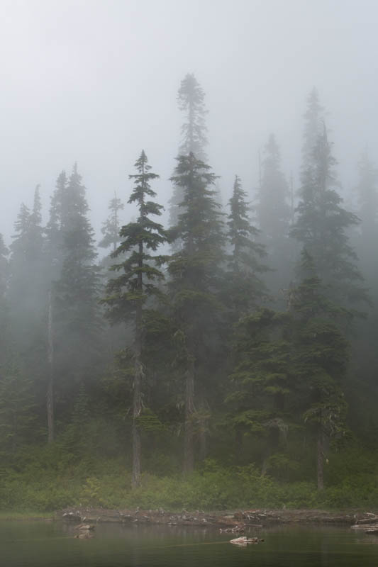 Pratt Lake In Fog