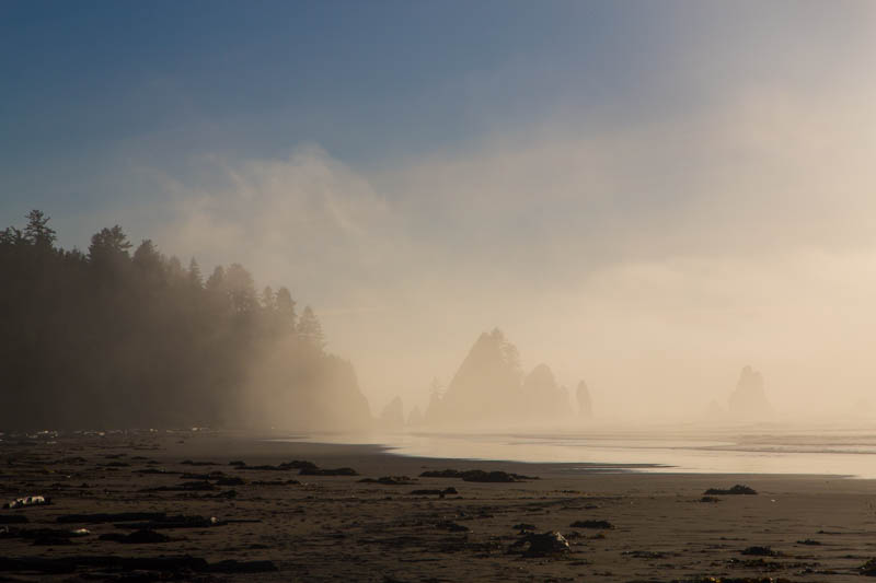 Shi Shi Beach And Point Of Arches