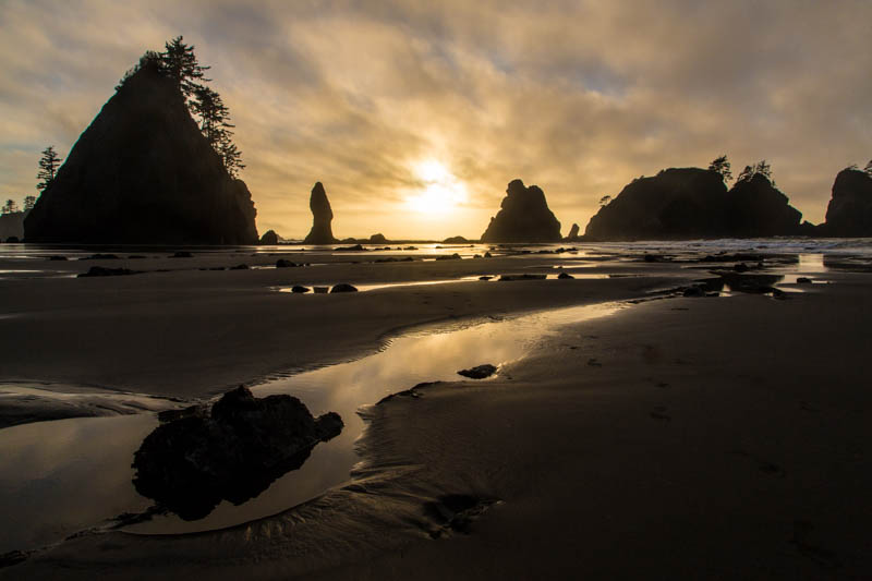 Tidepool And Point Of Arches